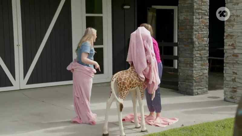 We can go get a sheet from inside. Oh, my God! Let's get a sheet!