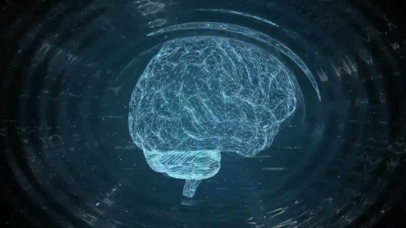 We can, in fact, replay these EEG waves