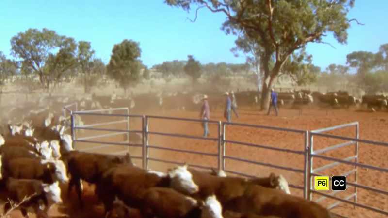We can produce crops and livestock on a scale so hugely productive