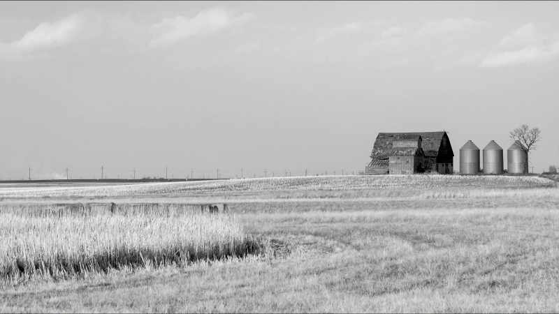 We can't, we have to farm wheat.