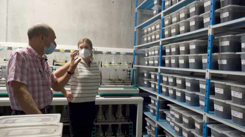 We check if the plastic will fragment