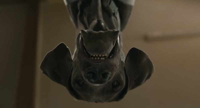 �� We clawed, we chained ♪ - (growling)