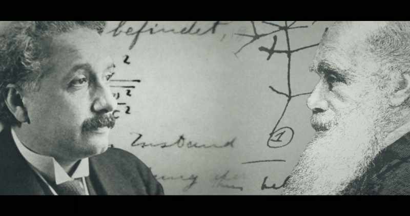 We contend next that Einsteinian physics