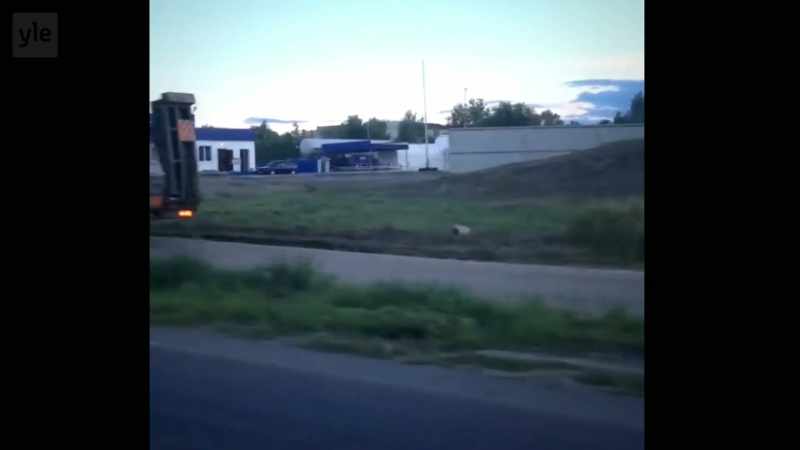 We could locate this convoy