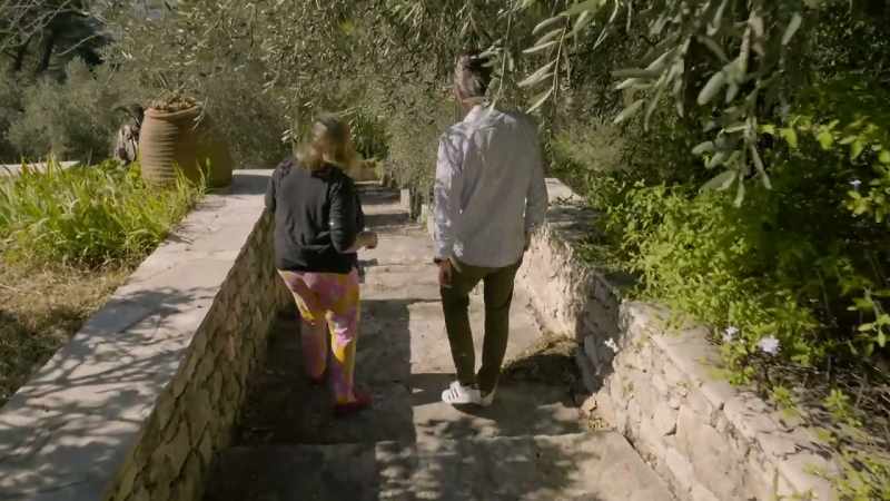 We couldn't see, virtually, the top of the olive trees