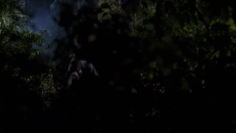 We created this - all these bushes, we brought in