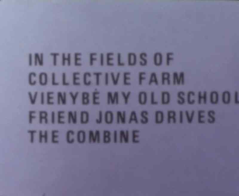We decide to go to the fields