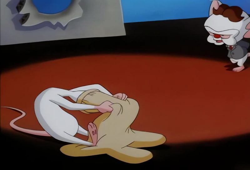 WE DID IT, PINKY!