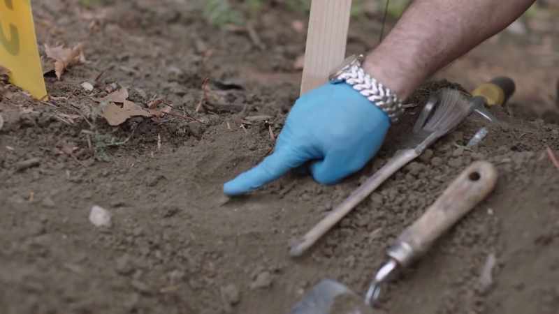 We discovered within about eight inches of the surface