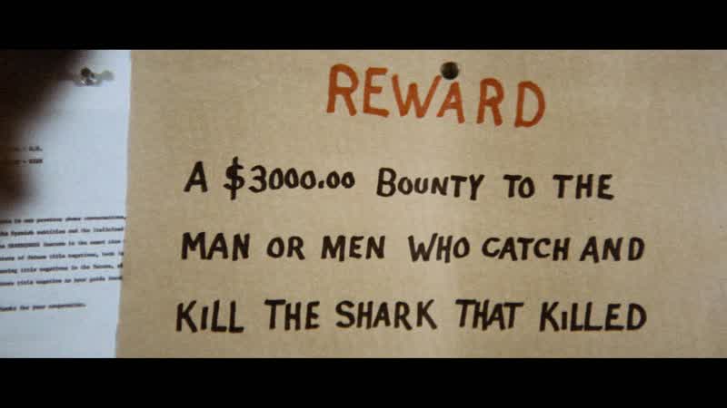 We don't even know if there's a shark around here