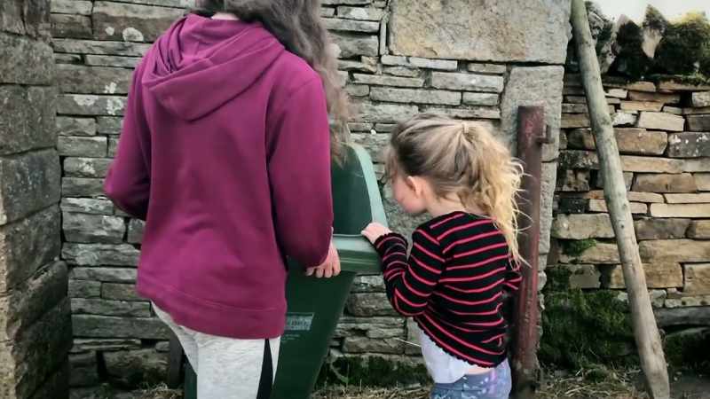 We don't really know why the chicken was laying in a bin