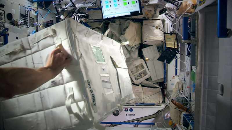 We don't really think about it, but we're constantly weight lifting on Earth
