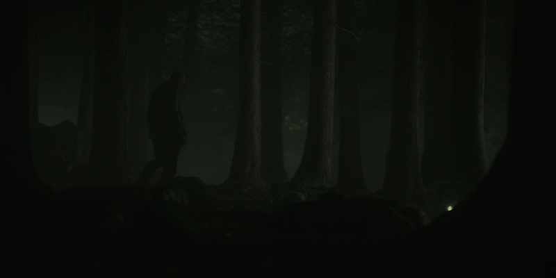 We encounter the revenant vampire