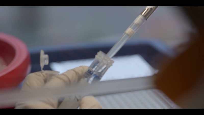 We extracted DNA