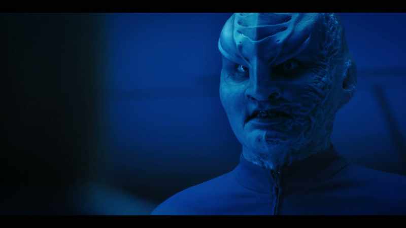 We fight to preserve Klingon identity