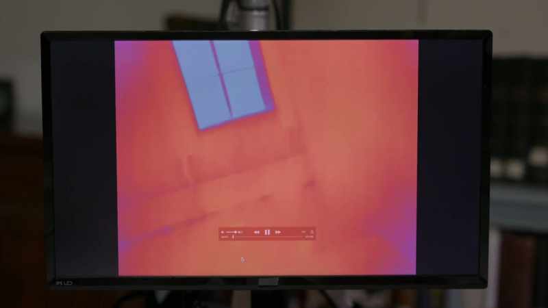 We were filming using a thermal camera