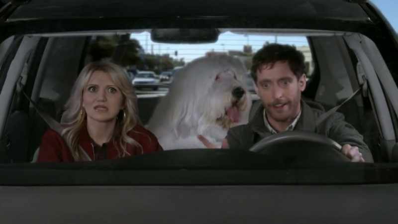 We find someone to take Cannoli for a few weeks