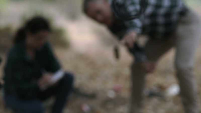 We had found a pair of handcuffs hanging from a tree limb