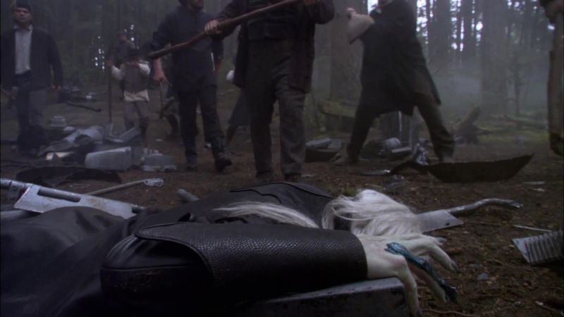 We found the wreckage, a few wounded survivors