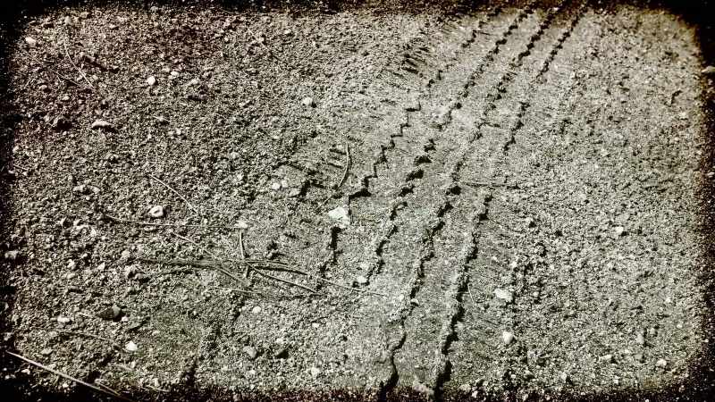 We found tire tracks