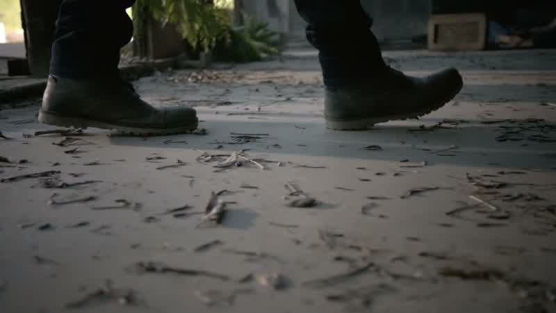 We found twelve bodies