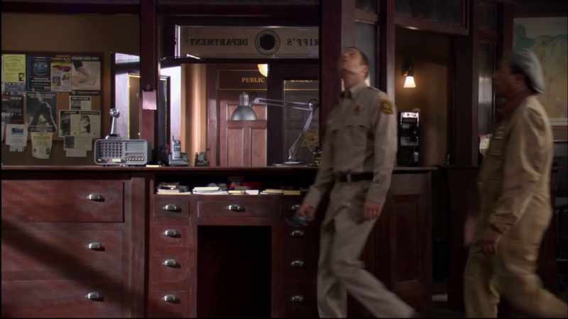 We get to see the flickerwings after all