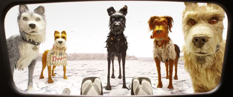 We get the ideaYou're looking for your lost dog Spots