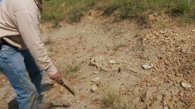 WE GO FROM SAND TO SHALE