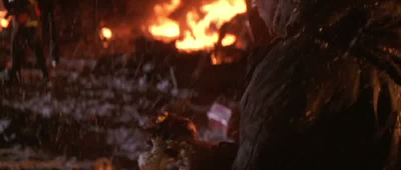 We got no sign of survivors down here