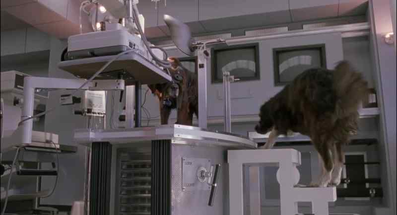 We gotta get outta here. Can you walk? - I think so