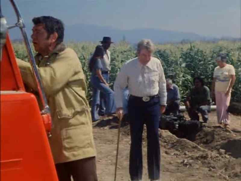 We gotta get these people back to pickin' oranges