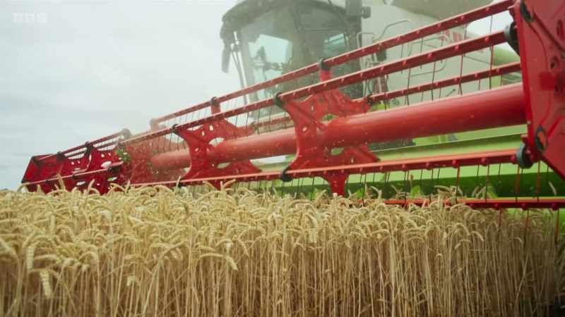 We grow wheat, barley, herbage, rye-grass, spring beans