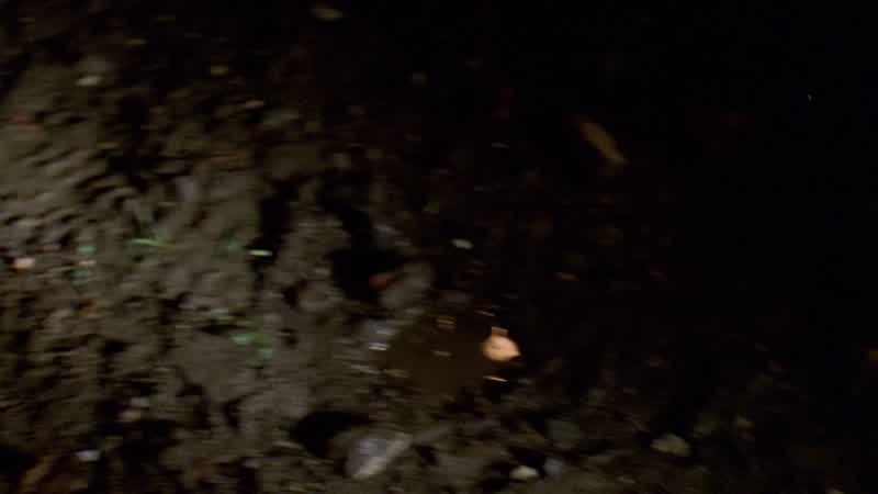 We have a runner