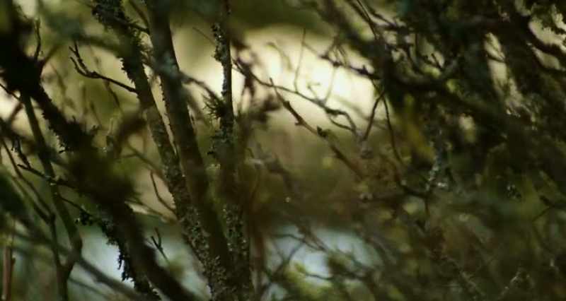 We have this advanced nervous system