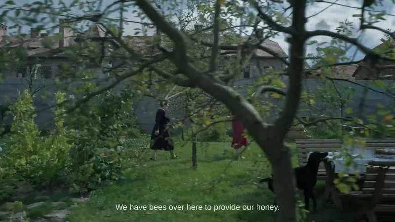 We have bees over here to provide our honey