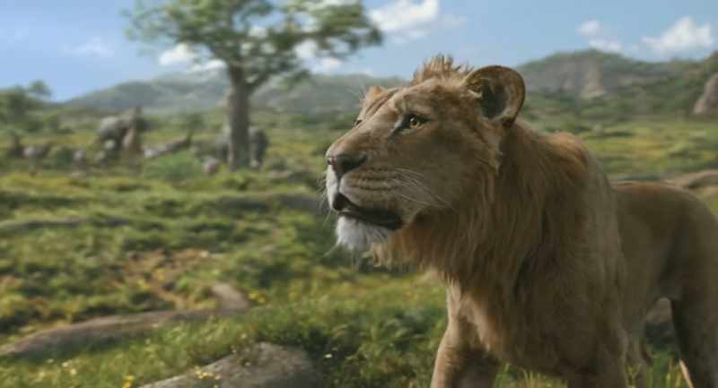 We have come for Mufasa