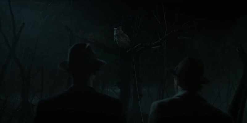 We have just found the Flatwoods Monster