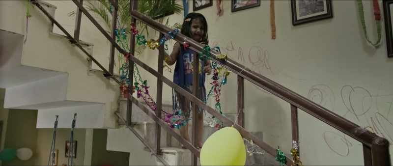 We have to leave for Meerut in two weeks, for Shanoo's wedding, so