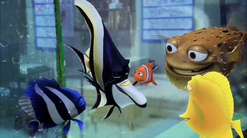 All right gang we have less than 48 hoursbefore Darla gets hereThis tank'll get plenty dirty in that timebut we have to help it along any way we canJacques No cleaning I shall resistEverybody else be