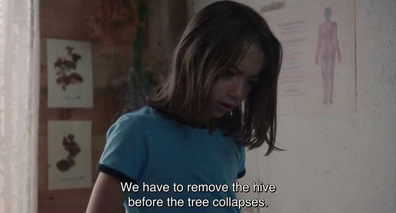 We have to remove the hive before the tree collapses