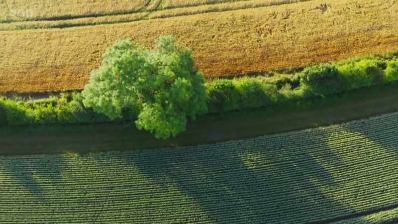 We have sprayed the land with pesticides