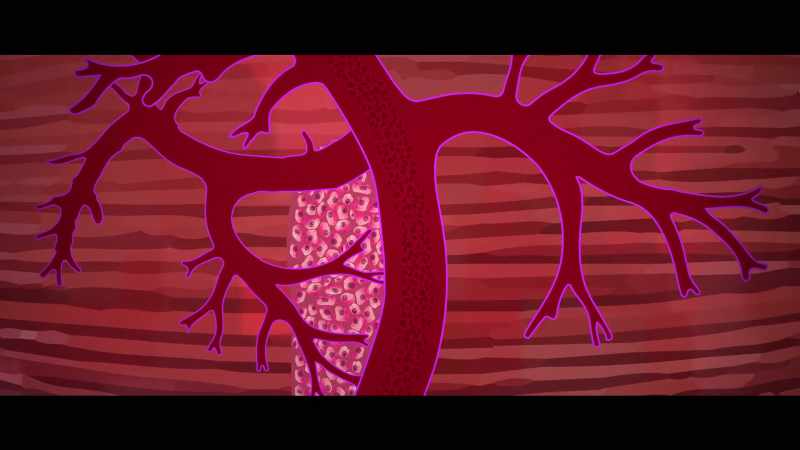 We have storage in our muscles