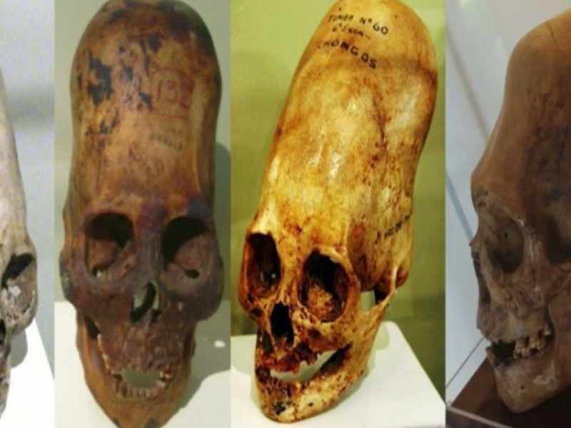 We have the researcher, Brien Foerster