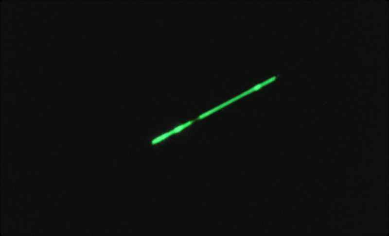 We hoped that our sun might prove too distant to be seriously influenced