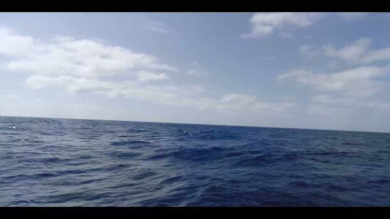 We were in the water