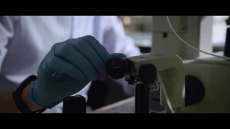 We inject CRISPR that we engineered in the lab