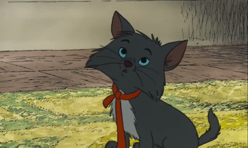 We were just practicing biting and clawingAristocrats do not practise biting and clawingand things like that That's just horribleBut someday we might meet a tough alley cat