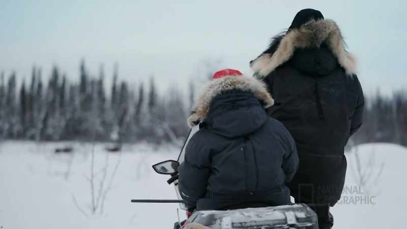 We kill a cow moose, that's just like killing