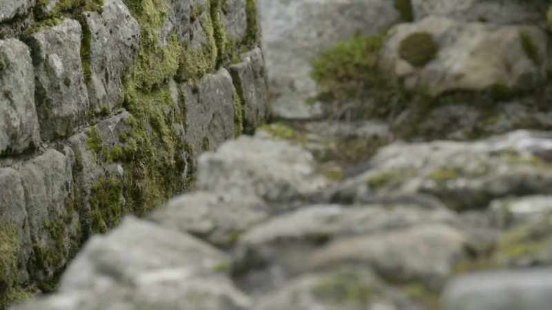 We know that Roman soldiers built the wall