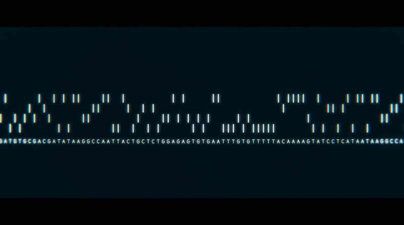 We know that we could engineer a single gene